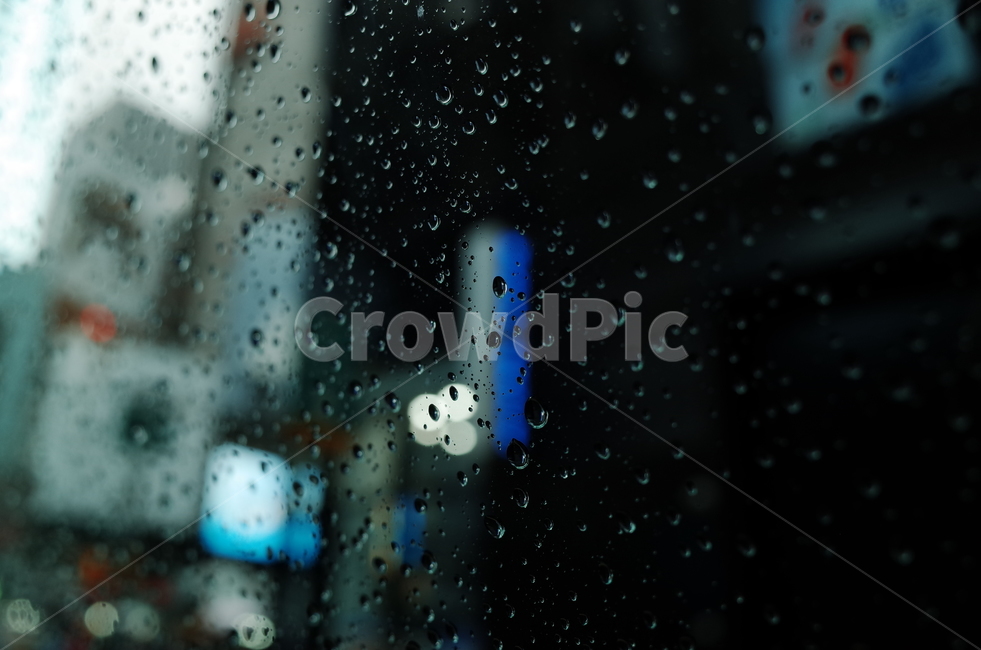 비오는날,흐린날씨,빗방울,waterdrop,rainy,비온뒤,cloudy,day,비,비오는날,rain,rainy
