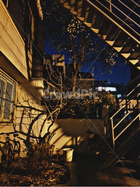 밤하늘,밤,night,건물,주택,거리,street,나무,하늘