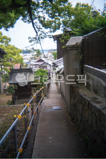 일본,골목,신사,도시주거지,전통건물,뒷길,보행로,담벼락,가로수,shrine,alley,japan