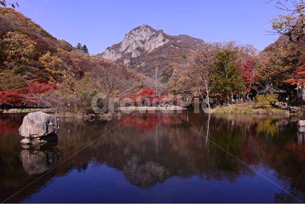 장성,백양사,백양사추색,백양사가을,반영,plant,식물,tree,나무,maple,단풍,자연,경치,풍경,연못,믈,백암산,가을,계절,fall,autumn,season,자연,풍경,nature,landscape