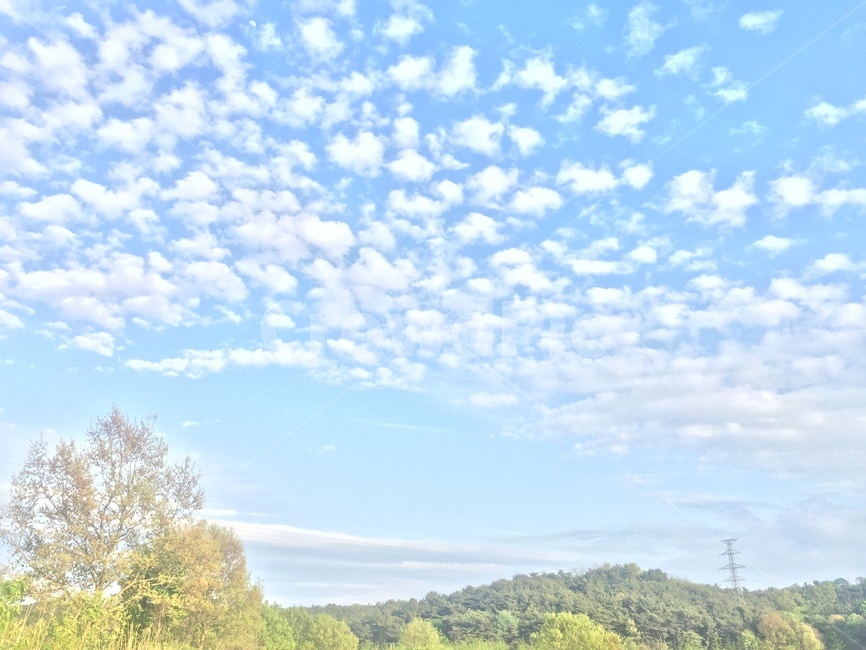 봄,하늘,맑은하늘,시골배경,농촌배경,파란하늘,자연,풍경,nature,landscape,outdoors,옥외,field,들,grassland,목초지