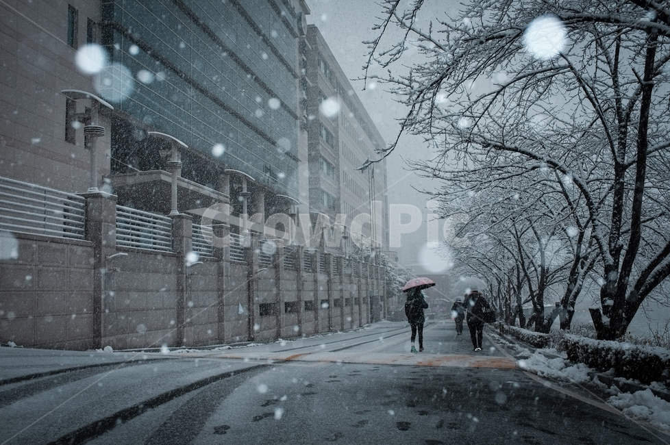 눈,눈오는날,풍경,snow,감성,겨울,계절,winter,season,감성,sensible,feeling