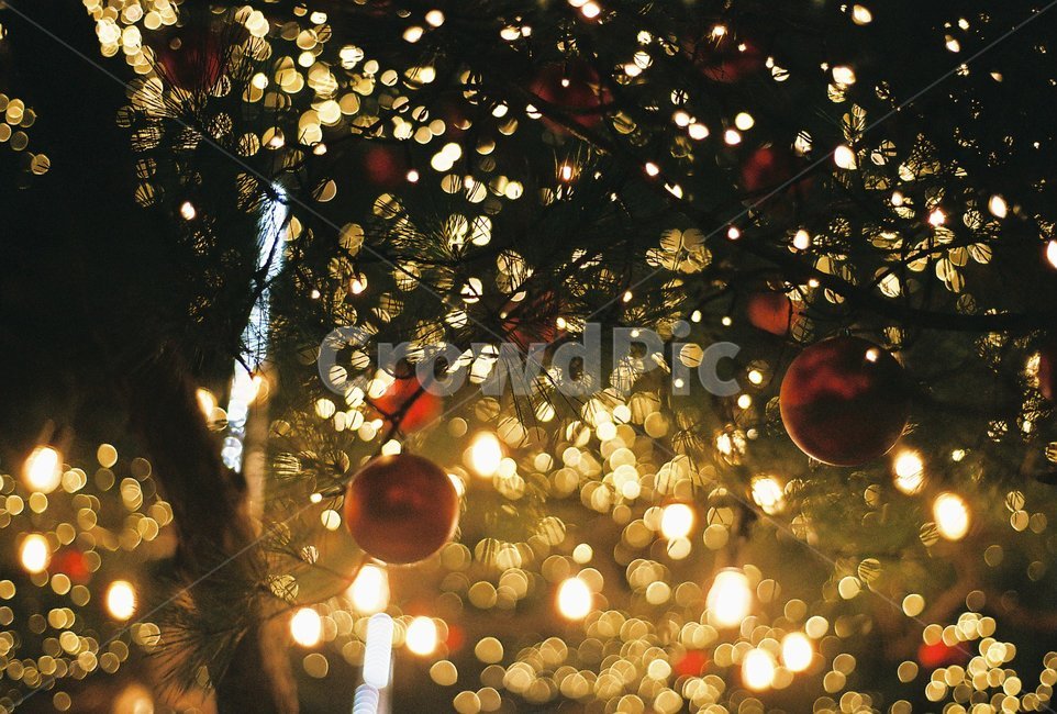 크리스마스,장식,겨울,크리스마스장식,크리스마스트리,메리크리스마스,성탄절,merry christmas