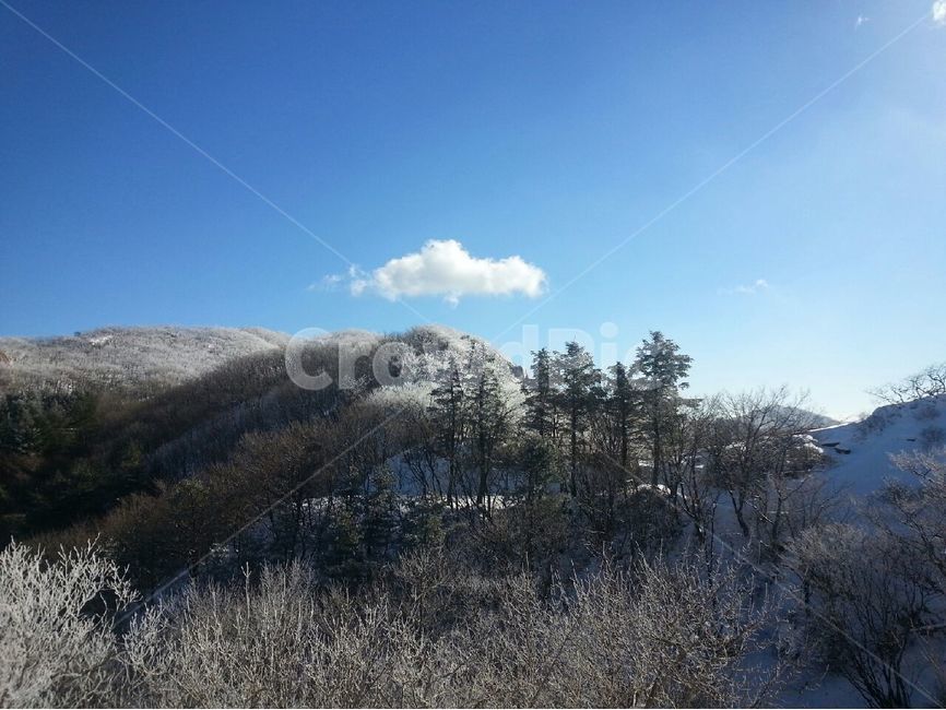 겨울,하늘,파란색,나무,구름,눈,산,풍경,경치,설경,배경,배경이미지,배경화면,겨울,계절,winter,season,자연,풍경,nature,landscape,한국자연풍경,한국자연경관,korea nature landscape,outdoors,옥외,abies,아비,tree,plant,식물,fir,전나무