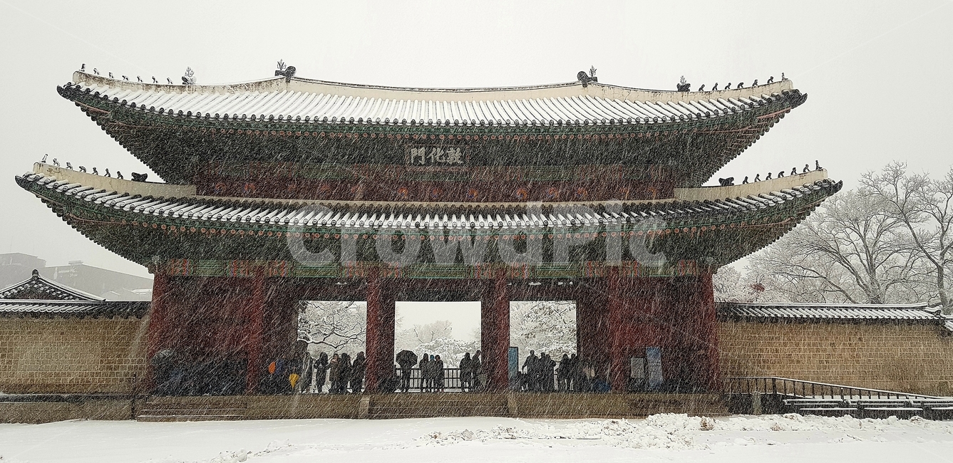 첫눈,창덕궁,고궁설경,돈화문,firstsnow,changdeokgung,겨울,계절,winter,season,한국전통,한국문화,korean traditional,korean culture,랜드마크,landmark,tourist attraction,한국랜드마크,한국관광지,한국명소,korea landmark,korea tourist attraction,사람들,대중,군중,other people,crowd,건축물,건물외관,exterior,building,structure,architecture,construction