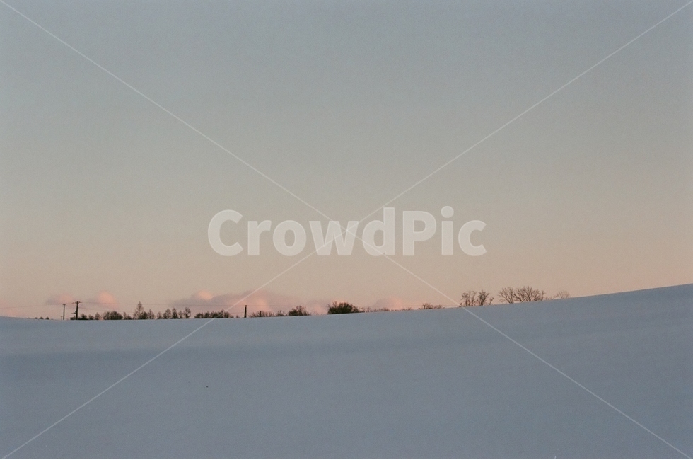 겨울,홋카이도,비에이,눈의왕국,설경,필름사진,겨울,계절,winter,season,자연,풍경,nature,landscape,해외,외국,세계,foreign,oversea,world,세계자연풍경,해외자연풍경,외국자연풍경,world nature landscape,감성,sensible,feeling,outdoors,옥외