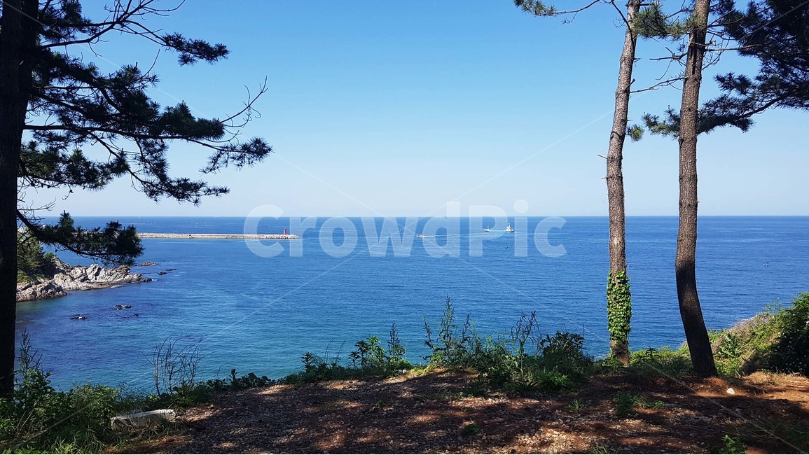 바다,해수욕장,해변,모래사장,등대,풍경,자연,나들이,산책,바닷가,바닷물,나무,소나무,야외,삼척,동해,자연,풍경,nature,landscape,한국자연풍경,한국자연경관,korea nature landscape,plant,식물,tree