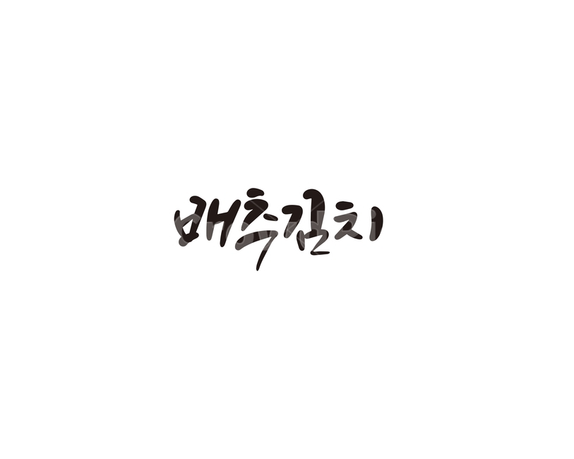 배추김치,배추,김치,음식,캘리,캘리그라피,반찬,캘리그라피,손글씨,calligraphy