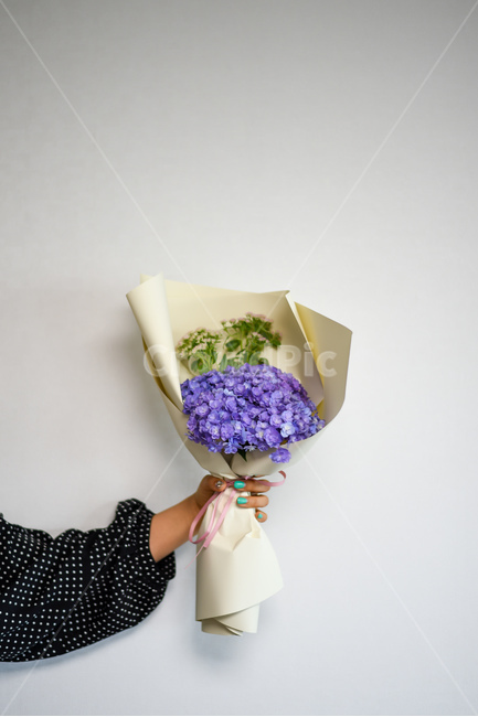 꽃,flower,꽃다발,겹수국,꽃선물,flowers,선물,꽃포장