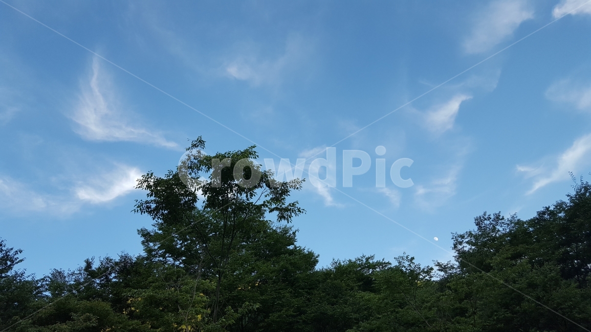 숲,캠핑,나무,하늘,구름,자연,풍경,nature,landscape,outdoors,옥외