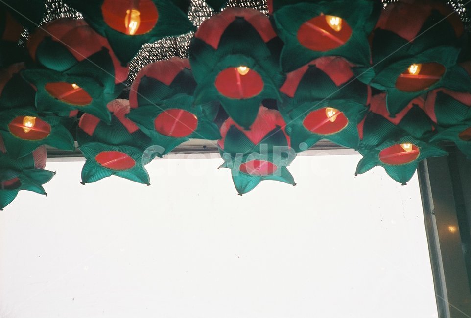 연꽃,등,조명,불교,연화등,절,소원,wish,lamp,빛,light,buddhism,temple,종교,밝히다