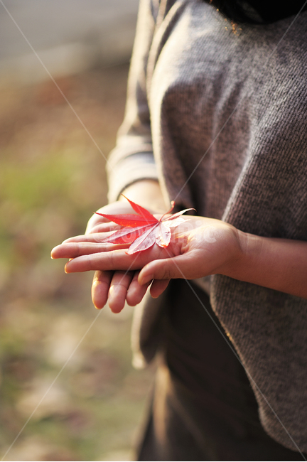 단풍,빨간색,가을,나뭇잎,노을,손,여자,빛,hand,women,fall,red,maple,가을,계절,fall,autumn,season,사람,인물,인간,human,person,여성,여자,woman,female,lady,감성,sensible,feeling,finger,손가락
