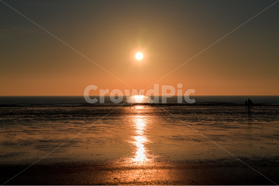 바다,일몰,해변,풍경,바다풍경,자연,풍경,nature,landscape,sunlight,햇빛,light,빛,flare,플레어,outdoors,옥외