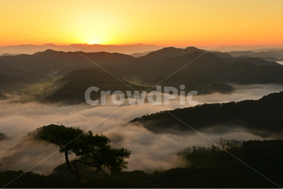 nature,자연,outdoors,임실,국사봉,운해,국사봉일출,아침,여명,해돋이,경치,경관,풍경,옥외,mountain,산,mountainrange,산맥,dawn,새벽,sky,하늘,redsky,붉은하늘,light,빛,flare,플레어,소나무,자연,풍경,nature,landscape,한국자연풍경,한국자연경관,korea nature landscape