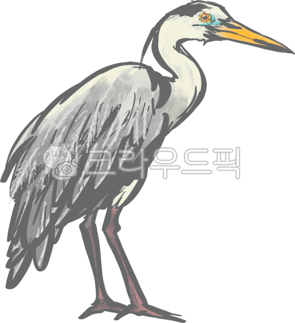 왜가리,조류,자연,회색,일러스트,공룡,새