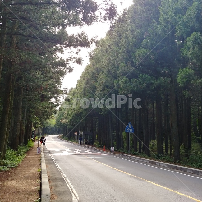 road,도로,freeway,고속도로,타맥,tarmac,아스팔트,asphalt,자연,풍경,nature,landscape,고속 도로