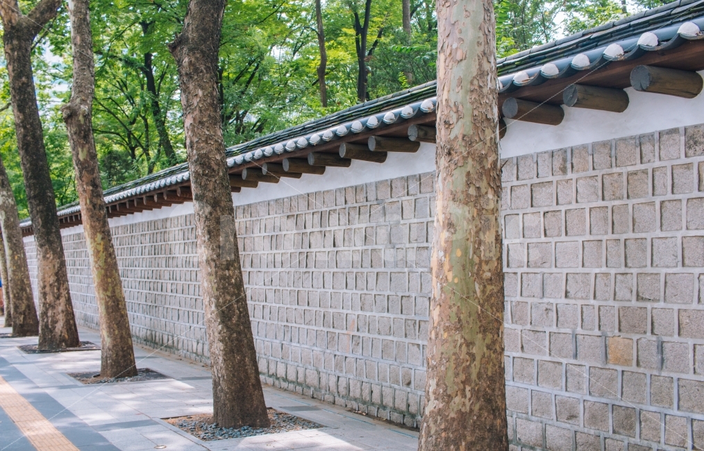 서울,광화문,덕수궁,나무,여름,풍경,한국,돌담,korea,seoul,koreatraditional,한국전통,한국문화,korean traditional,korean culture