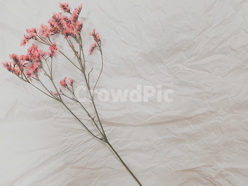 꽃,풀,조화,꽃다발,flower,bundle,꽃,flower