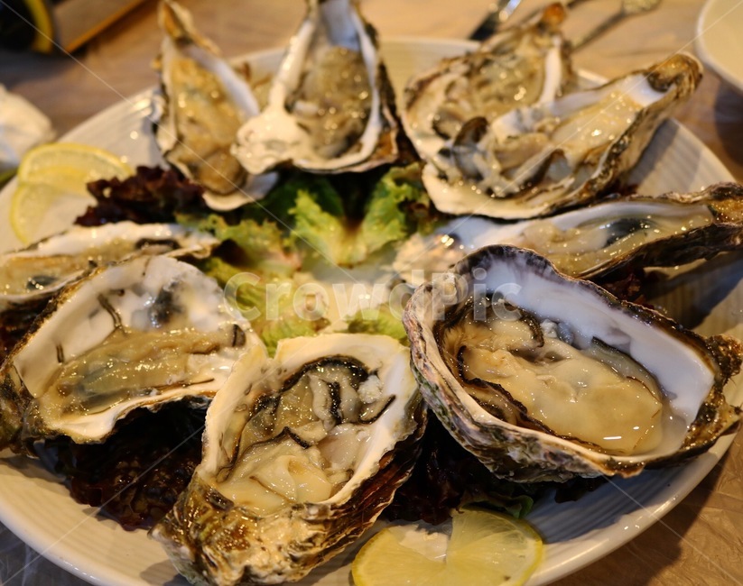 생굴,석화,굴껍질,바다의우유,굴,음식,식재료,요리,food,cook,meal,dishes,food reserves,수산물,해산물,fishery products,seafood