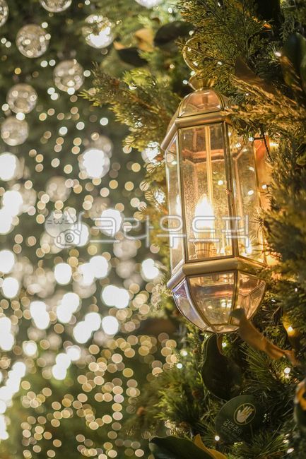 atmosphere,Christmas,beauty,mood,distance,tree decoration,winter,Christmas Photo Contest,writing,fire,december,Street,Emotion,xmas,Merry Christmas,yearend and new year holidays,warmth,tree,Anniversary,retro,downtown,lamp,christmas,Yearend,congrats,Outfocu