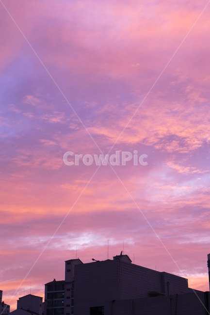 하늘,파랑,분홍,핑크,구름,노을,석양,sky,blue,pink,cloud,sunset