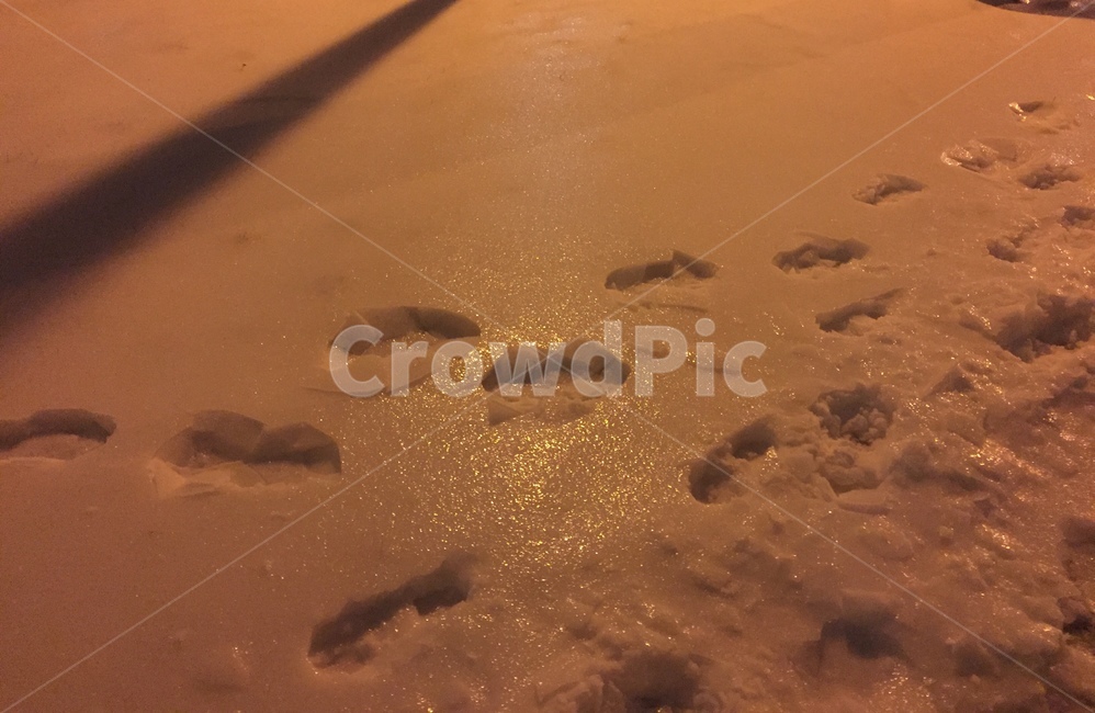 겨울,추운,눈,얼음,snow,발자국,cold,ice,winter,겨울,계절,winter,season