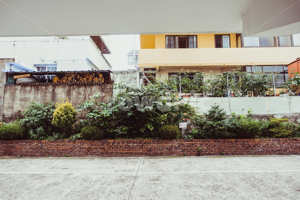 벽,담,자연,풍경,감성,식물,감성,sensible,feeling,건축물,건물외관,exterior,building,structure,architecture,construction