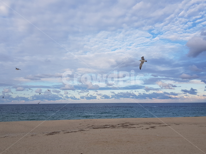 동해,동해안,동해바다,바다,바닷가,해변,바다,beach,sea