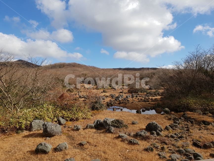 제주,1100고지,습지,가을,맑은,하늘,구름,파란,sky,cloud,깨끗한,돌,현무암,rock,예쁜,jeju