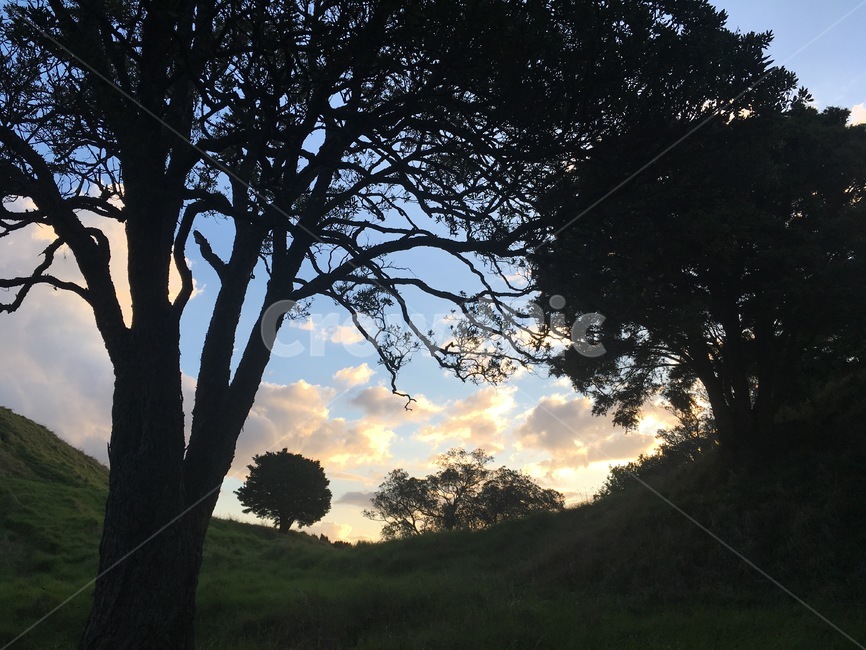 몽환적인,동화풍경,뉴질랜드,오클랜드,newzealand,가을