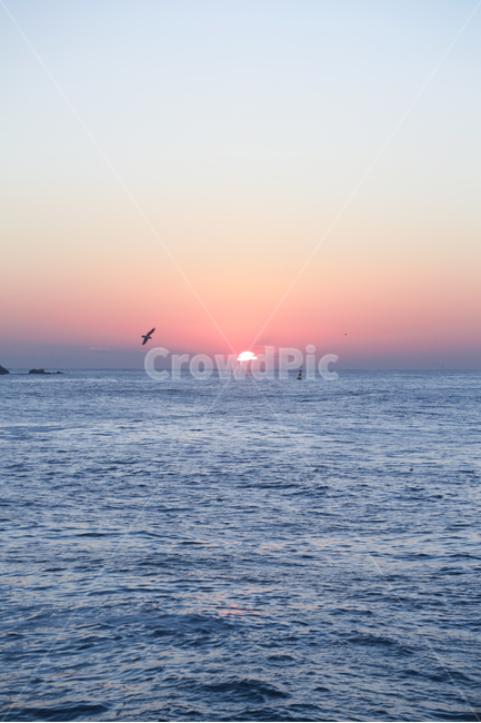 nature,자연,sky,일출,새해,희망,수평선,새벽