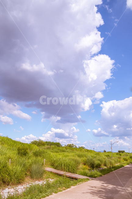 하늘공원,배경화면,구름,풍경,하늘,서울,공원,veiw,자연,풍경,nature,landscape,outdoors,옥외,azure sky,푸른 하늘,sky