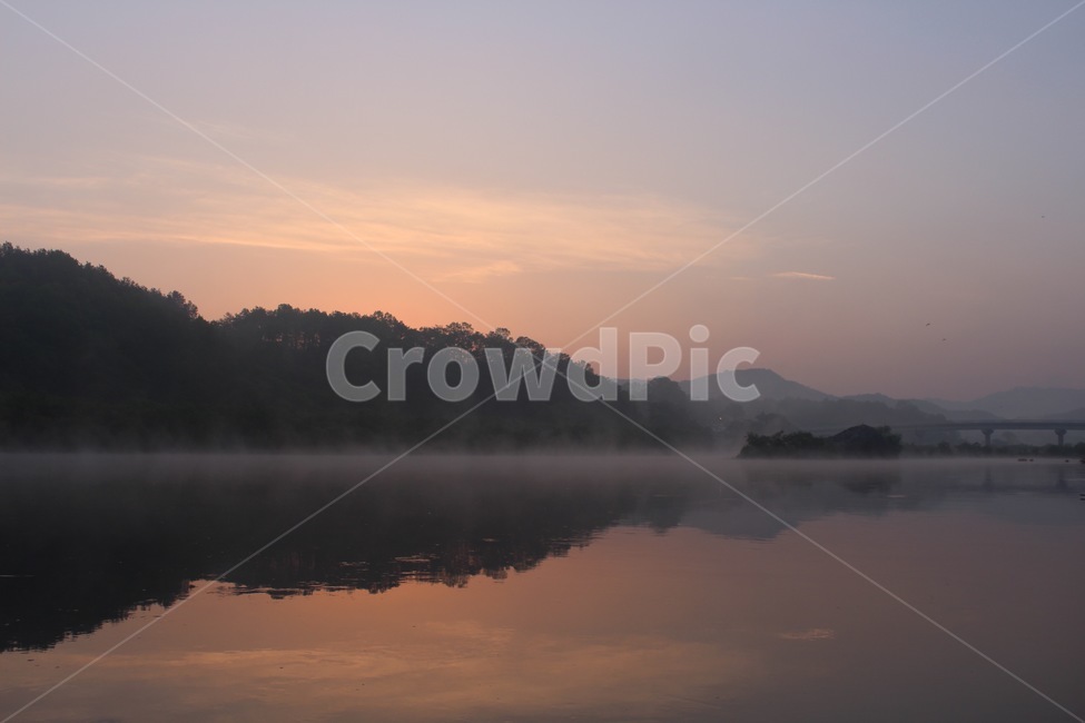 물안개,안개,강,river,fog,waterfog,nature,자연,tree,아침,morning,자연,풍경,nature,landscape,한국자연풍경,한국자연경관,korea nature landscape,outdoors,옥외,weather,날씨