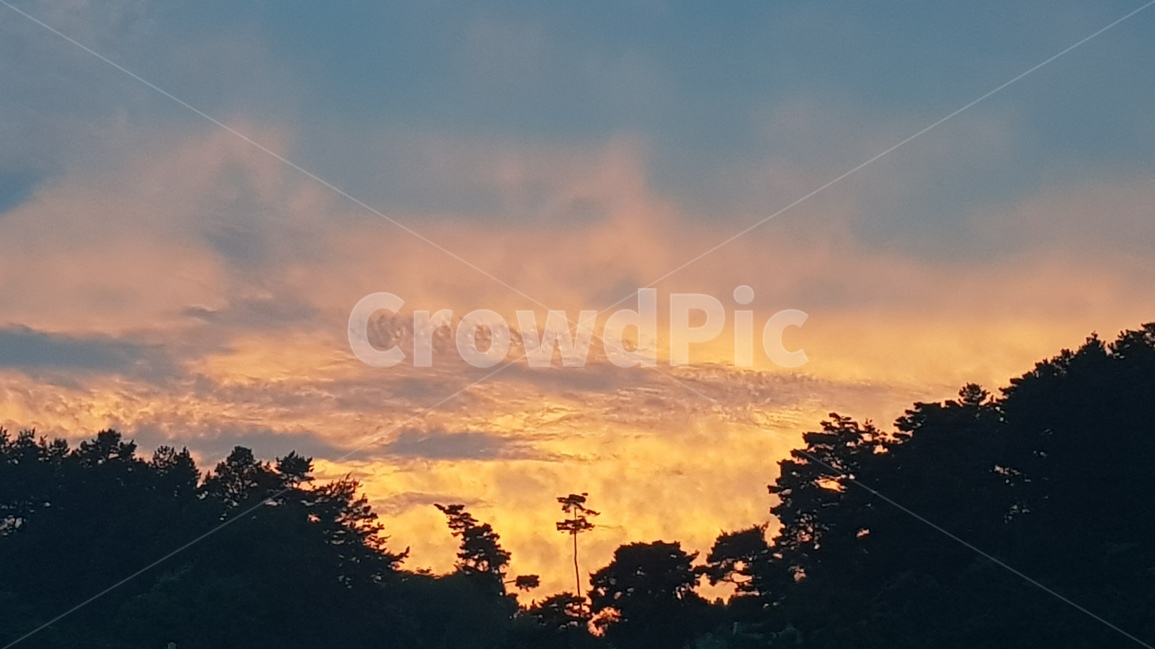 노을,여름,소나무,산,야경,자연,풍경,nature,landscape,outdoors,옥외,dusk,황혼,sunset,일몰,dawn,새벽,sky,하늘,red sky,붉은 하늘