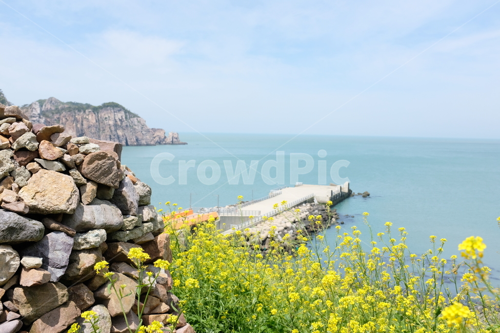 자연,풍경,경치,홍도,꽃,nature,자연,풍경,nature,landscape