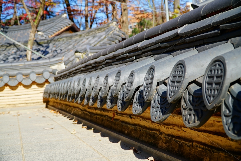 한국,한국전통,한국문화,전통,문화,한옥,불교,사찰,절,종교,korea,seoul,tradition,custom,culture,Buddhism,기와,지붕,처마,건물,건축,나무,가을,tree,autumn,fall,season,계절,나뭇가지,자연,nature,문화재,풍경,landscape,역사,히스토리,history,11월,한국풍경,한국적인,한국전통,한국문화,korean traditional,korean culture,건축물,건물외관,exterior,building,structure,architecture,construction