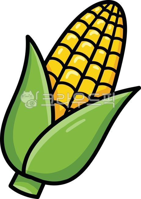 Corn,vegetables,healthy ingredients,healthy cooking,corn image,healthy food,vegetables,cooking ingredients,food,salad,wellness,corn illustration,corn hand drawing,corn drawing,steamed corn,corn,corns
