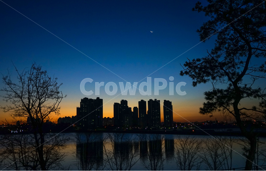 겨울,호수,아파트,소나무,여명,새벽,12월,초승달,풍경,반영,야경,밤,풍경,nightscape,night,landscape,도시,city,silhouette,실루엣,nature,자연,outdoors,옥외