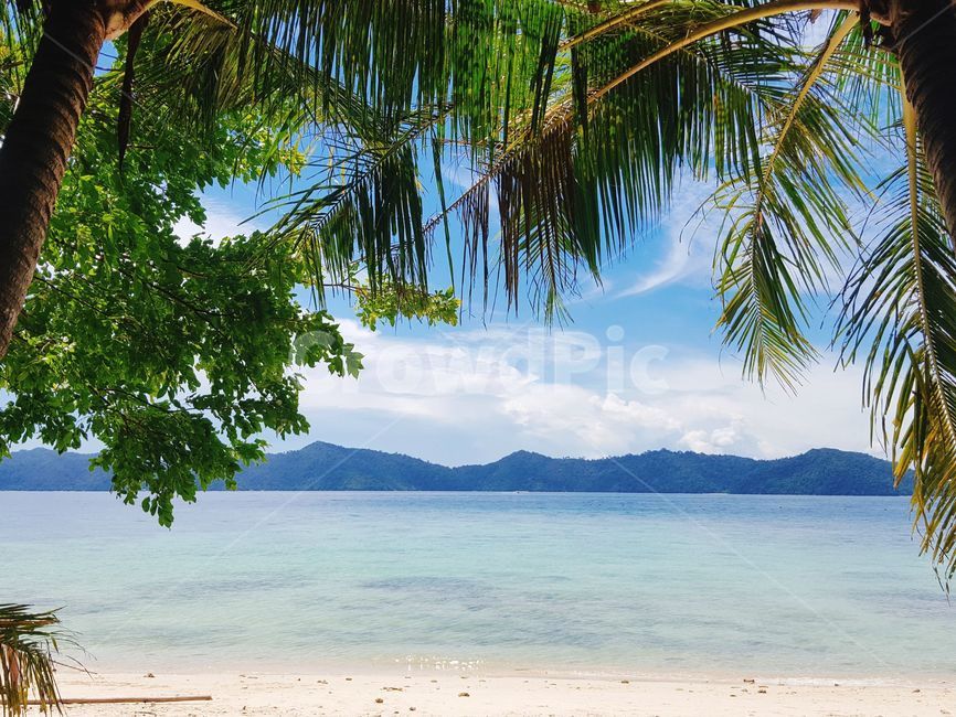 summer,여름,자연,바다,바캉스,모래,푸른바다,휴가,자연,풍경,nature,landscape,해변,바다,beach,sea