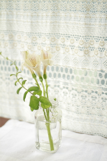 레이스커튼,레이스,커튼,보케,햇볕,식물,자연,plants,nature,꽃,flower,실내용화초,화분,화초,house plant,감성,sensible,feeling,휴식,힐링,rest,relaxation,healing,인테리어,실내디자인,interior design