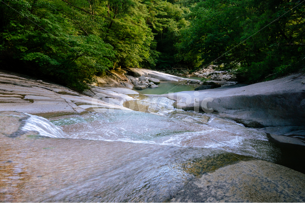 계곡,자연,물,여름,산,여름,계절,summer,season,자연,풍경,nature,landscape,water,stream,흐름,creek,작은 만,outdoors,옥외