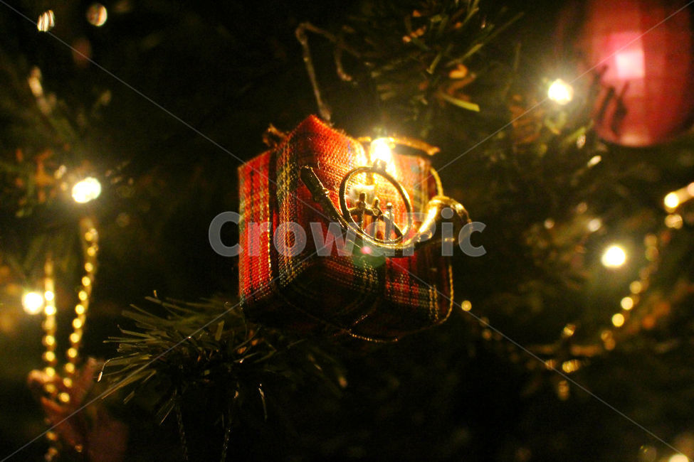 크리스마스,크리스마스트리,크리스마스장식,성탄절,감성사진,christmas,메리크리스마스,체크,빨강,빨간색,초록,초록색,tree,red,green,빛,flare,플레어,light,lighting,조명