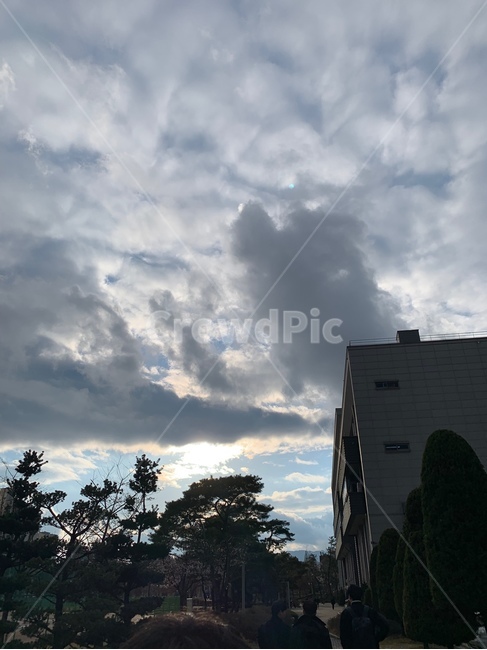 저녁,하늘,건물,노을,구름,대학교