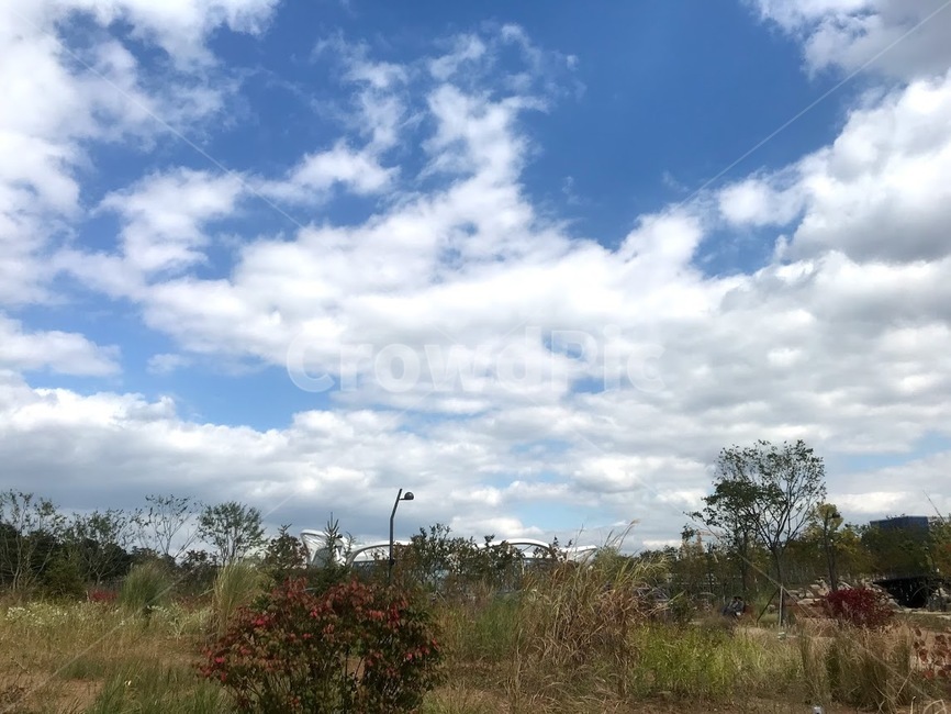 하늘,구름,sky,cloud,맑은날