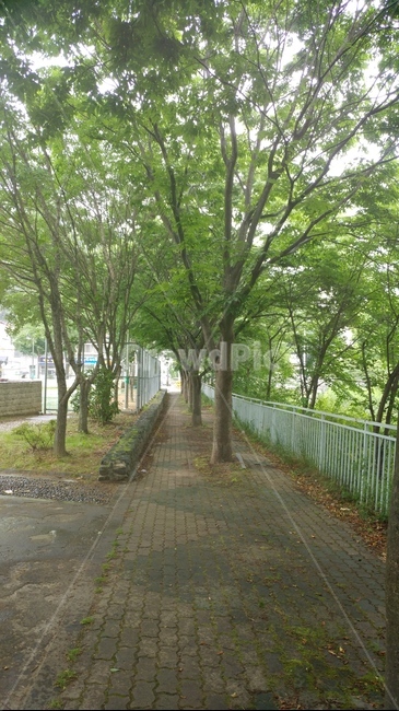 비내리는날,비,빗방울,감성,자연