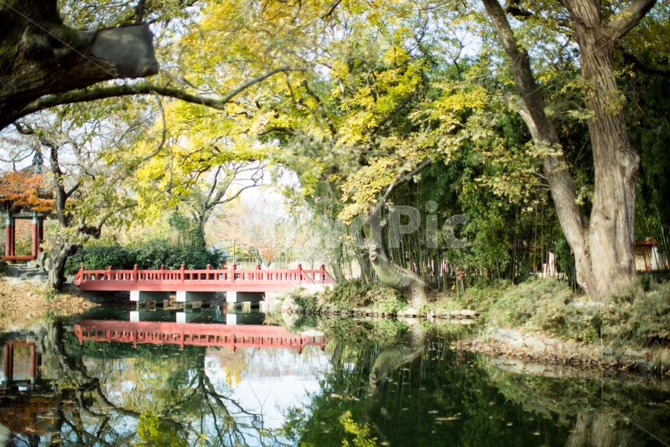 가을,계절,가을풍경,반영,광한루,남원,반영모습,가을햇살,자연,풍경,nature,landscape,한국자연풍경,한국자연경관,korea nature landscape,한국전통,한국문화,korean traditional,korean culture,랜드마크,landmark,tourist attraction,한국랜드마크,한국관광지,한국명소,korea landmark,korea tourist attraction,tree,나무,plant,식물,outdoors,옥외,water,물