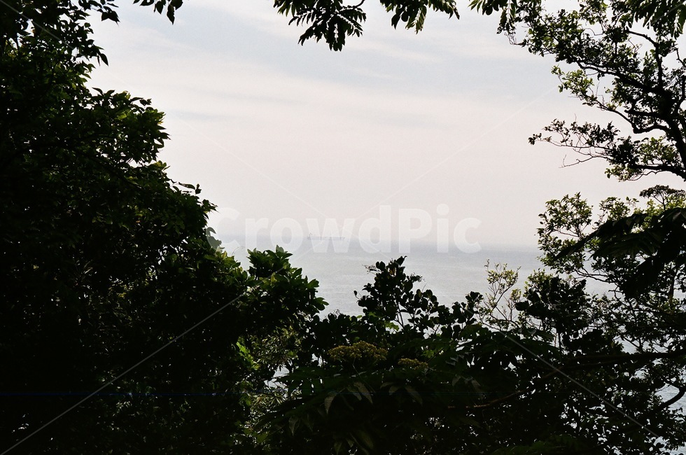 나무,하늘,자연,nature,낮,여수