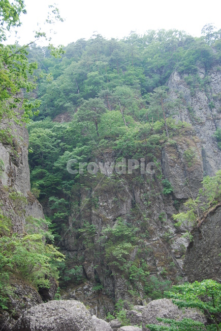 산,나무,tree,nature,trail,자연,풍경,nature,landscape,outdoors,옥외,cliff,낭떠러지