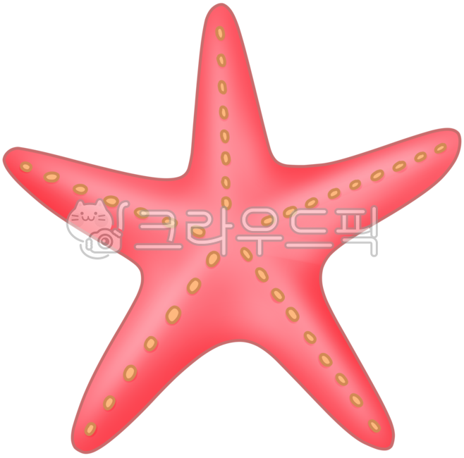 Starfish,sea creatures,marine creatures,beach creatures,underwater creatures,sea friends,sea emotion,summer emotion,starfish illustration,starfish drawing,starfish decoration,emotional sea,beach decoration,sea decoration,sea production,mari