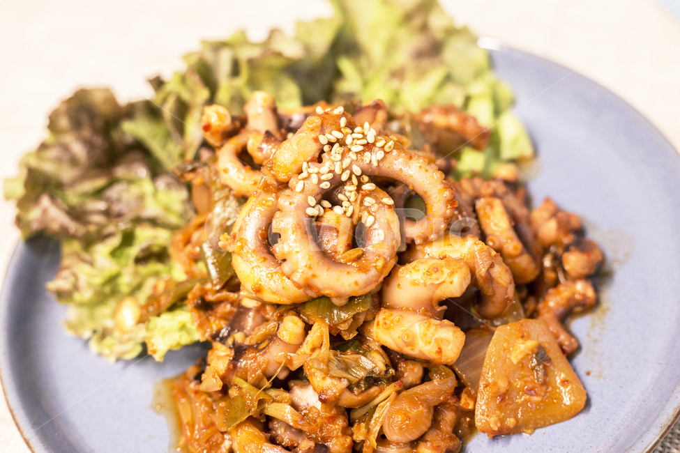 낙지볶음,요리,음식,반찬,food,nakjibokkeum,stirfriedbabyoctopus,sidedish,음식,식재료,요리,food,cook,meal,dishes,food reserves,수산물,해산물,fishery products,seafood,한식,한국음식,한국요리,korean food,korean dishes,korean meal,korean cook